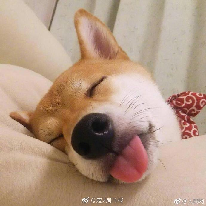 照日天劫txt網(wǎng)盤