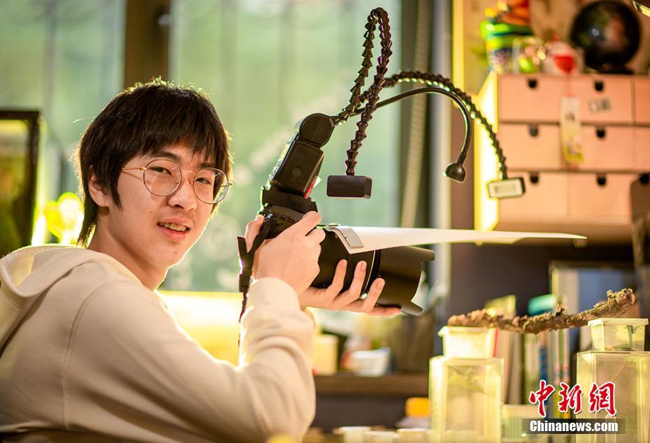 hp 格林童話 百度網(wǎng)盤