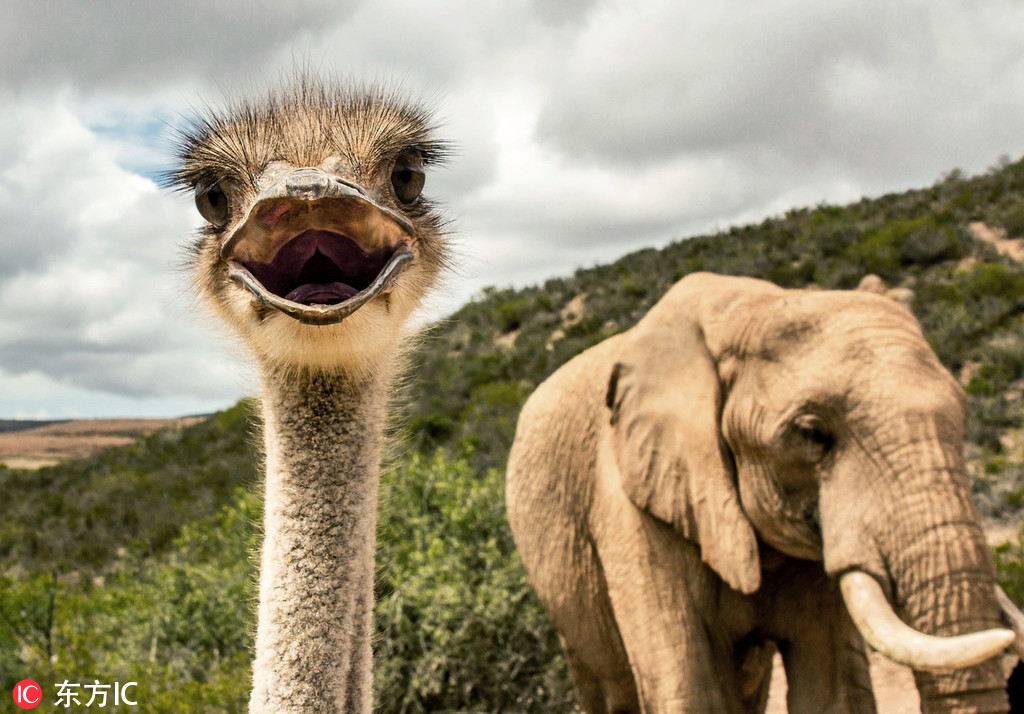 《請(qǐng)教教我吧女仆教育》動(dòng)浸第一季