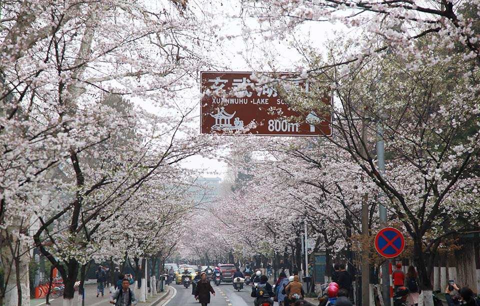 大明春戴小樓筆趣閣