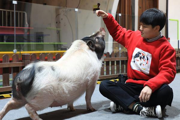 《控制項圈》完整版