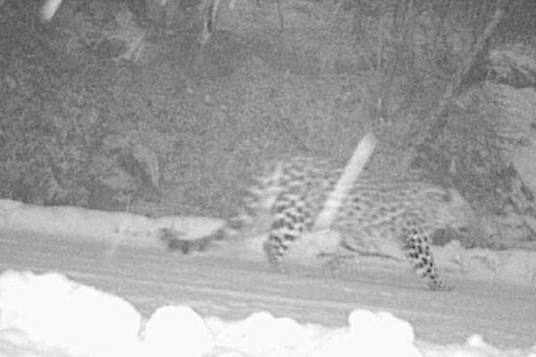 陰差陽(yáng)錯(cuò)by焦糖布丁