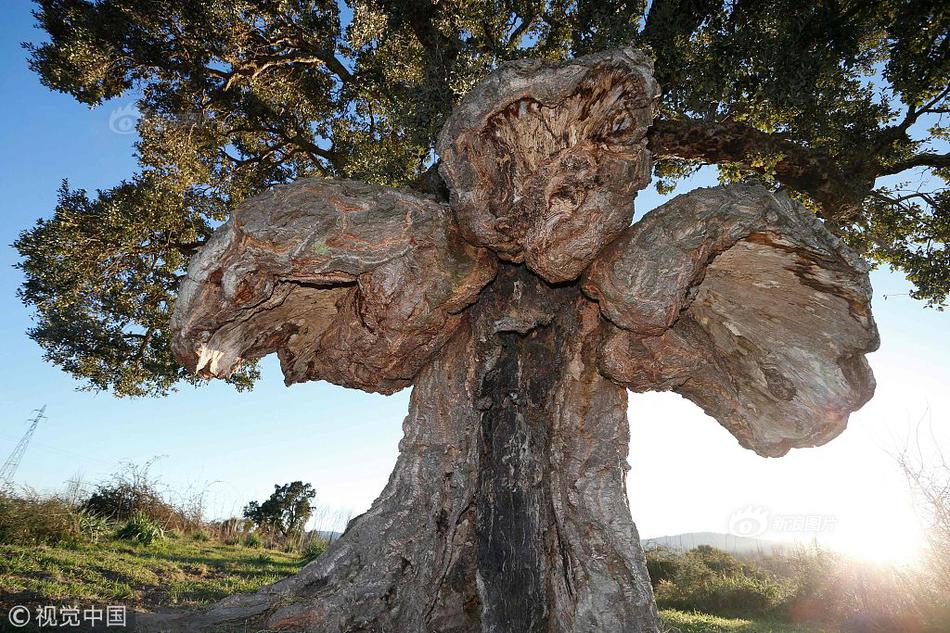 捕蝴蝶by秦三見未刪減