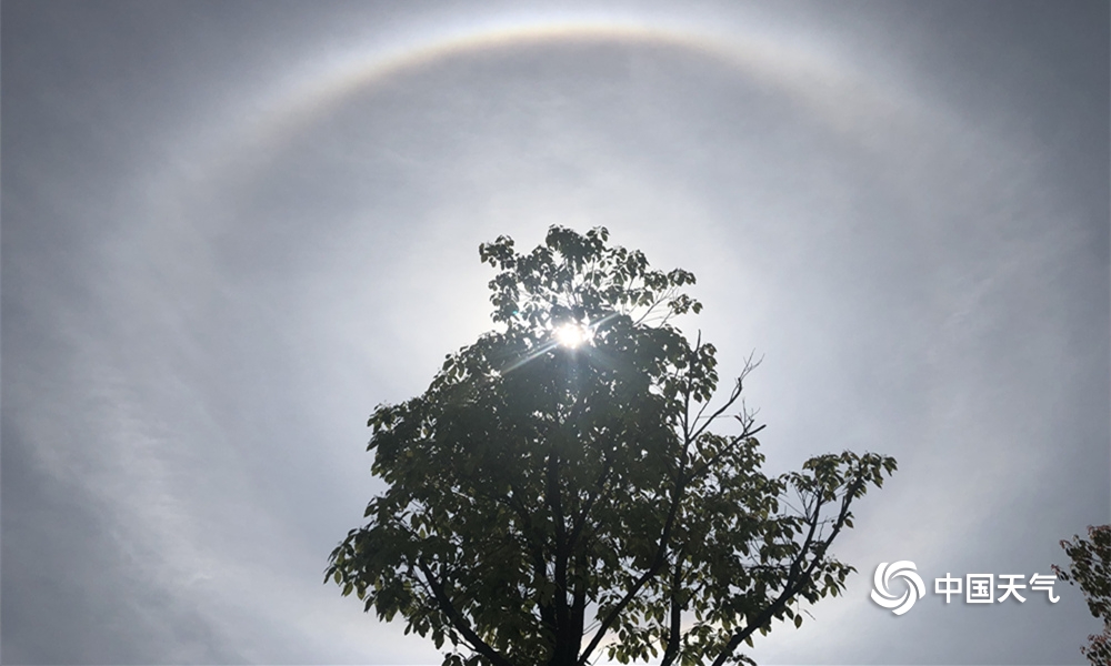 百日虎狼gl.筆趣閣