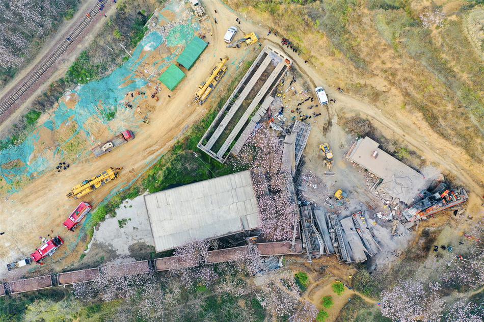 只許你心動(dòng)貓尾茶筆趣閣