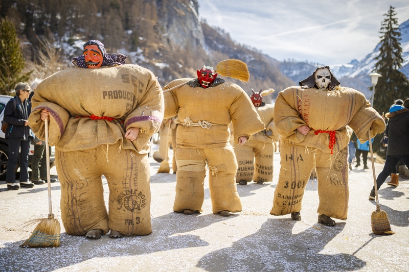 對(duì)象是家里安排的(先婚后愛(ài))陸枝江寓