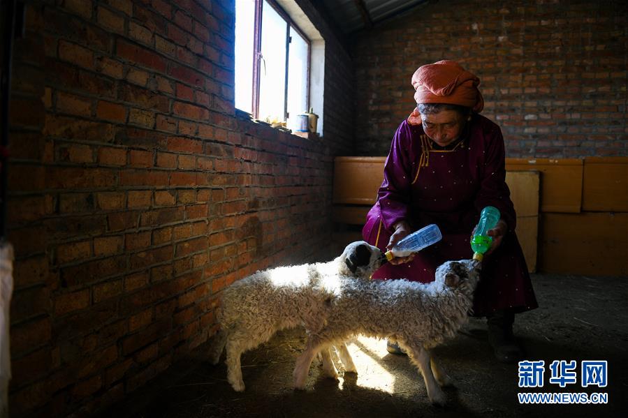 大武小武黃蓉番外篇txt