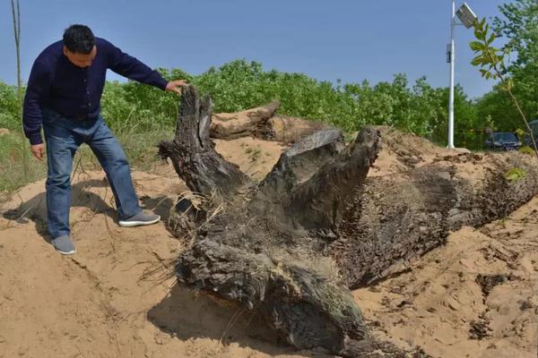 《問路》po筆趣閣達(dá)