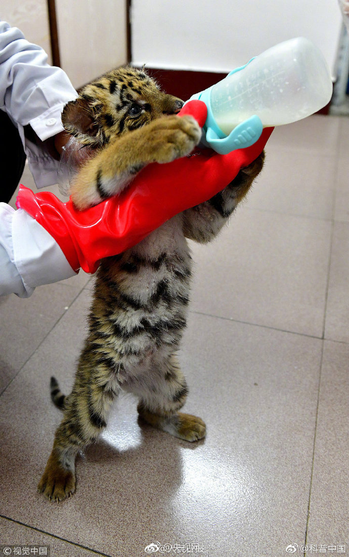 獨寵男后by扶風(fēng)琉璃筆趣閣免費閱讀