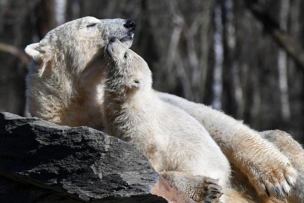 《婚前教育》by阿司匹林筆趣閣