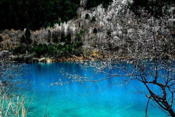 重生之賊行天下TXT