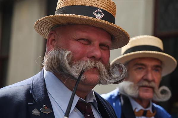 走狗by卡比丘百度網(wǎng)盤