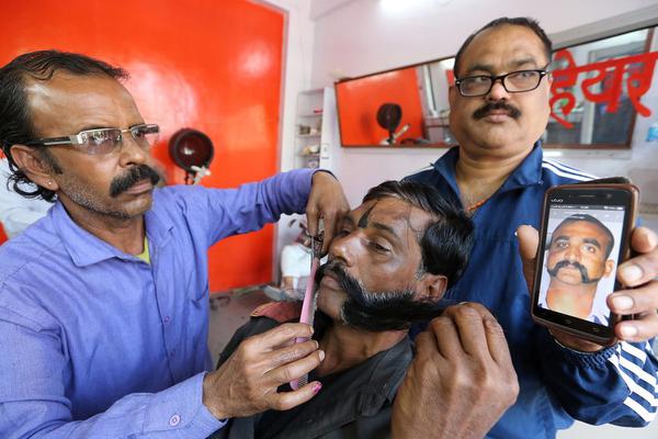 臣言浮華三部曲txt百度云