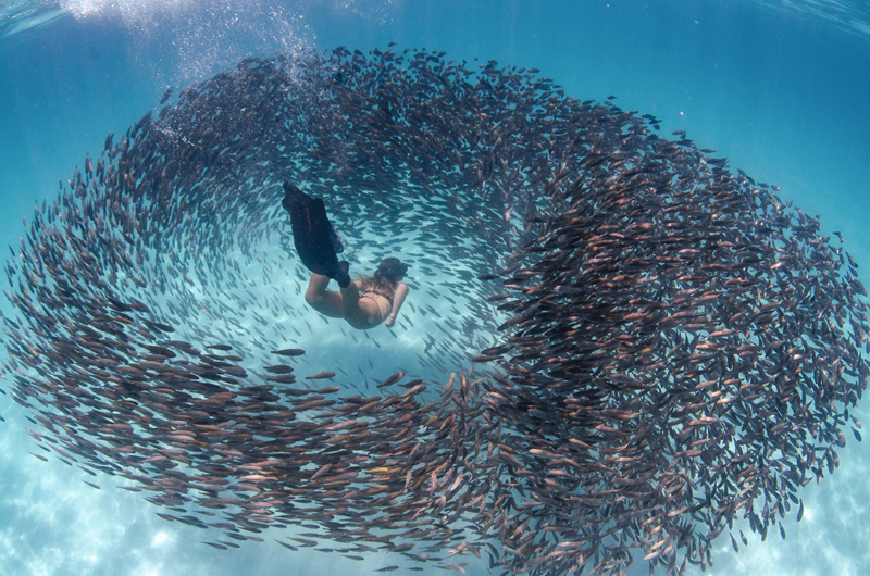 子宮開發(fā)日記(1-8)筆趣閣