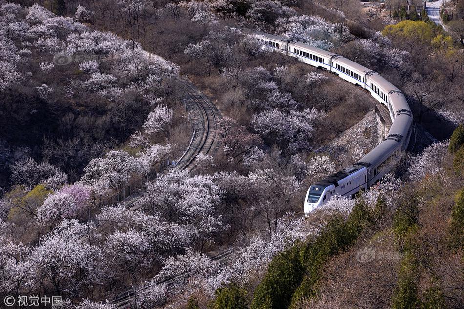 側(cè)夫by智中星