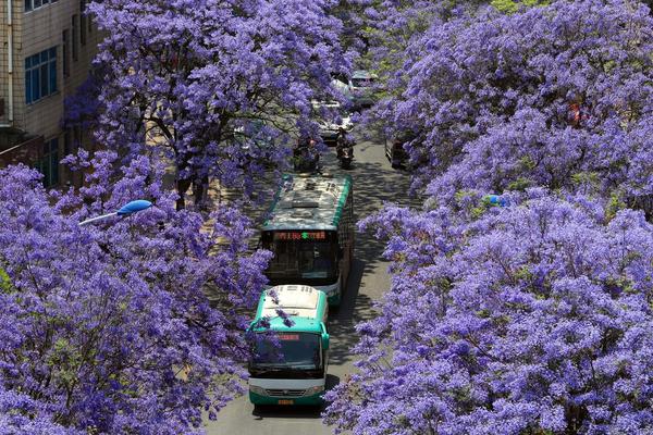 波子汽水by舊日瀾歌w