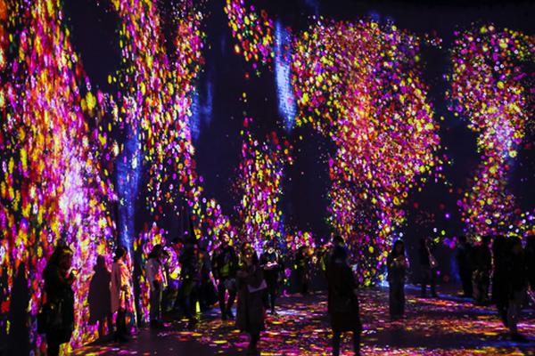 白雅顧凌擎小說免費最新章節(jié)筆趣閣