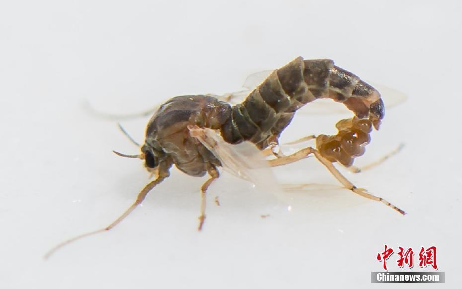 不甘不愿(高干)