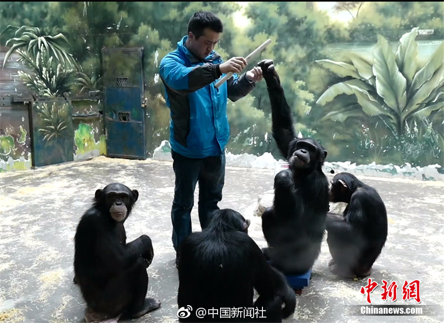 云中歌txt小說百度云