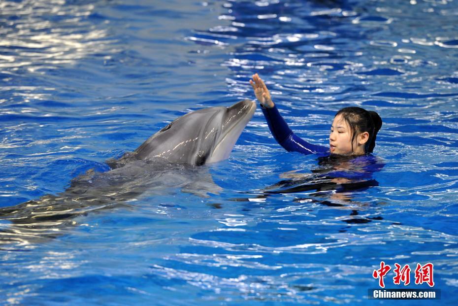 浴火(父女)大結(jié)局在線閱讀林晚晚野火