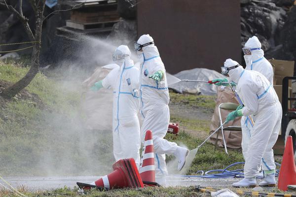 扶搖全文所有番外txt百度云