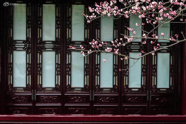 evplayer2官方下載