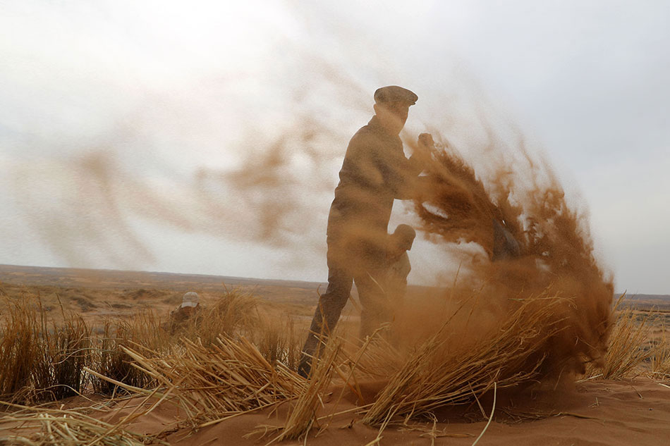 暗火(父女)顏棲遲TXT下載