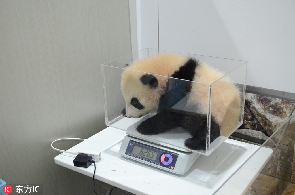 沉淪by卷卷耳小說免費閱讀