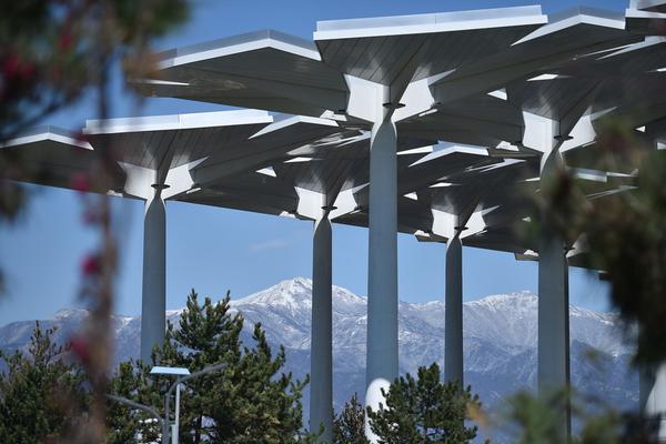 白色星塵by祝硯錚txt