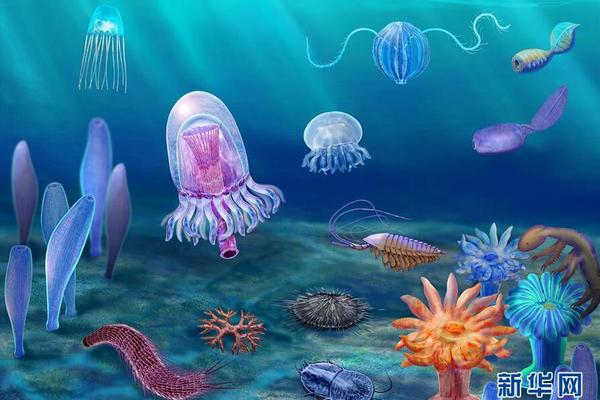 道爺要飛升筆趣閣無防盜