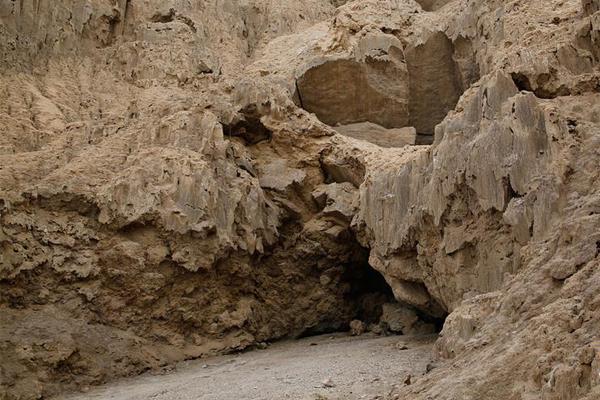 《嬌寵》by 南安