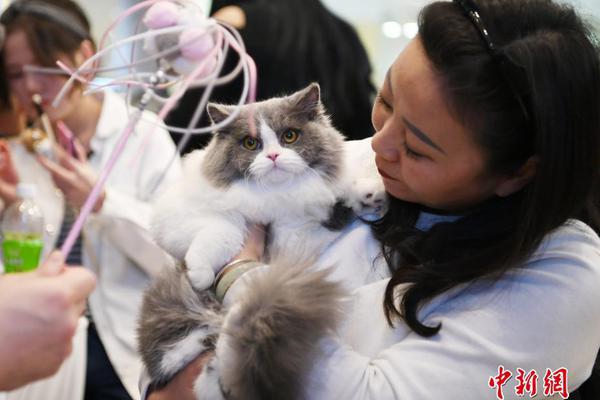 鐘情瑪麗蘇筆趣閣最新章節(jié)更新