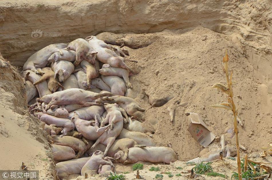 財迷心竅by癲婆txt百度網(wǎng)盤