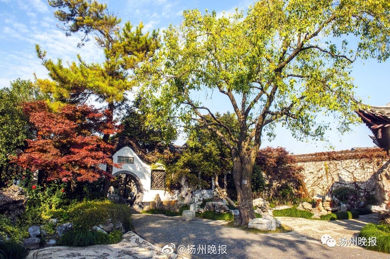 把愛錯給了你by葉落無心TXT