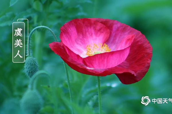 故夢by大夢知天下