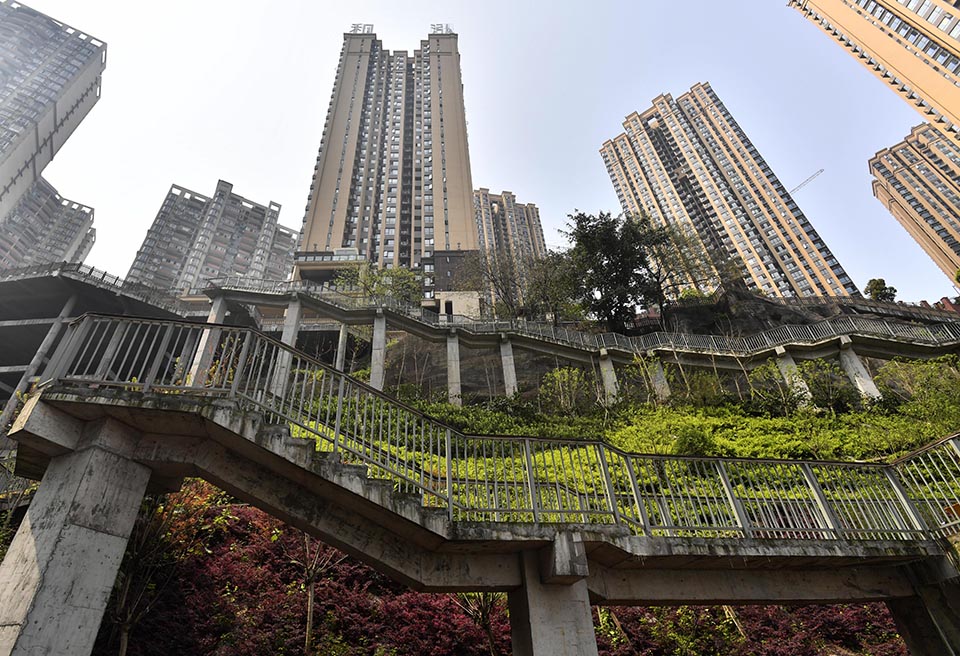 折枝by阿司匹林免費閱讀全文