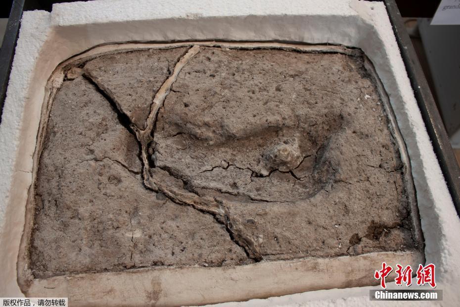 《眼前》by不問三九