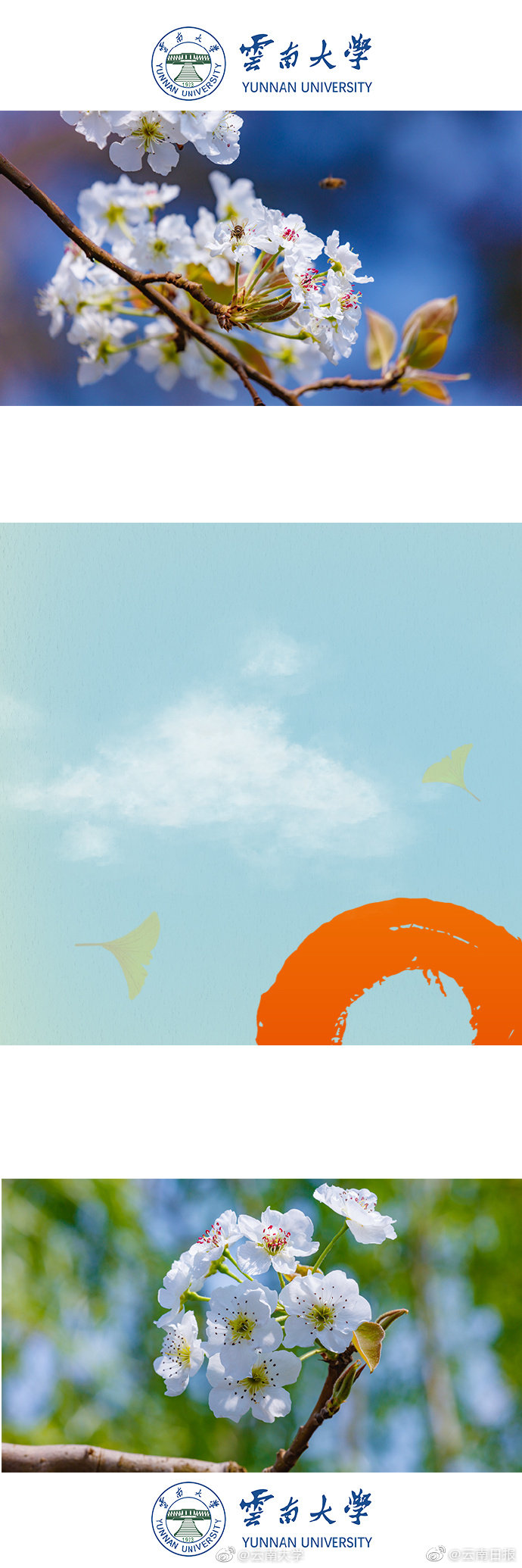 高燒不退By苦司排雷