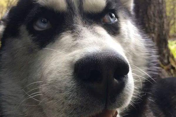 春日櫻桃po甜小酒全文閱讀