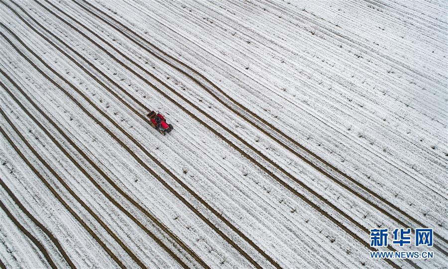 豐滿兒女國(guó)語版電視劇免費(fèi)觀看大全