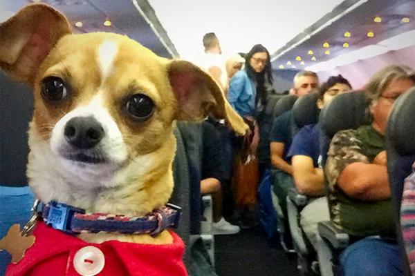 CCTV紀(jì)錄片《中國歷史》