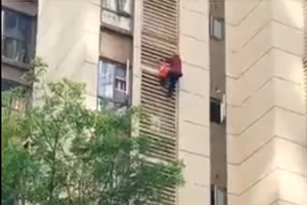 大道獨(dú)行txt奇書(shū)網(wǎng)