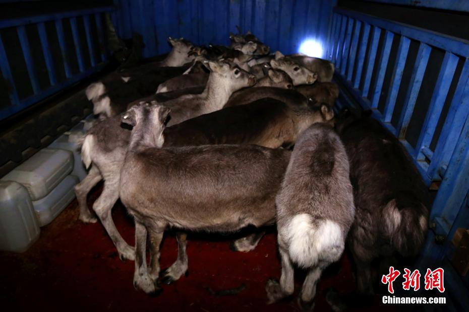 異界九死神功TXT下載奇書網(wǎng)