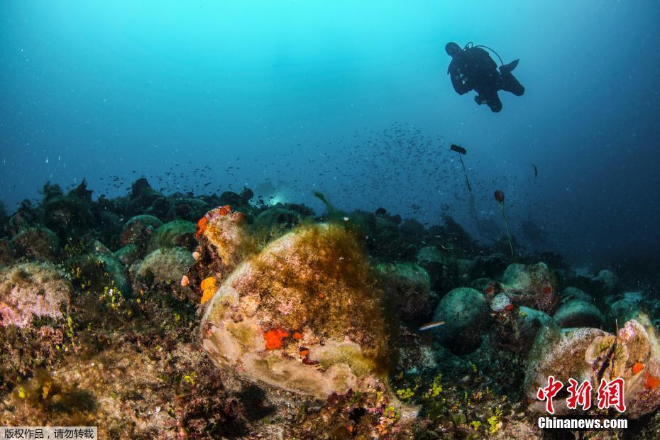 笨蛋女主1V1筆趣閣