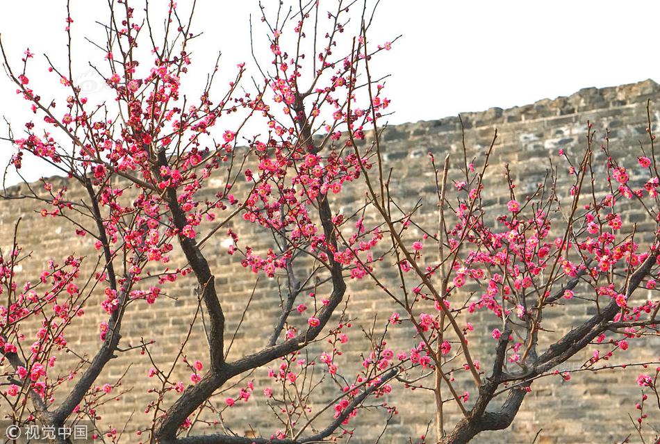 春日之約by賀楊by汪盛施