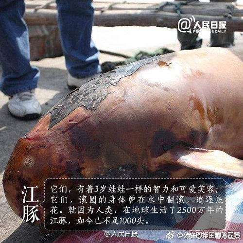 鬼吹燈之圣泉尋蹤txt下載