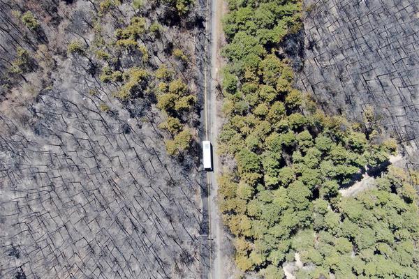 北渡春音by放鶴山人免費(fèi)閱讀