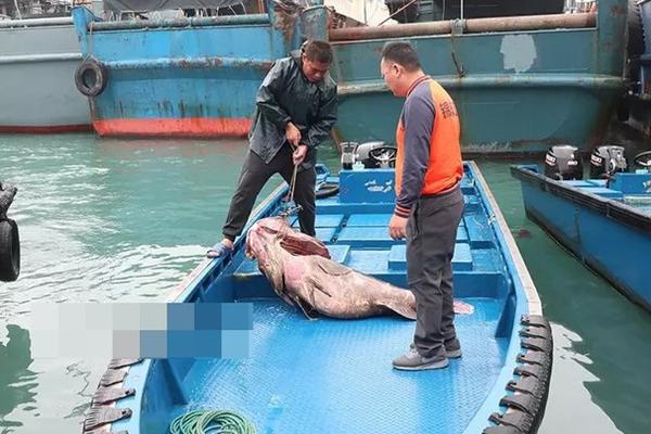 病態(tài)偏執(zhí)的黑化合集筆趣閣