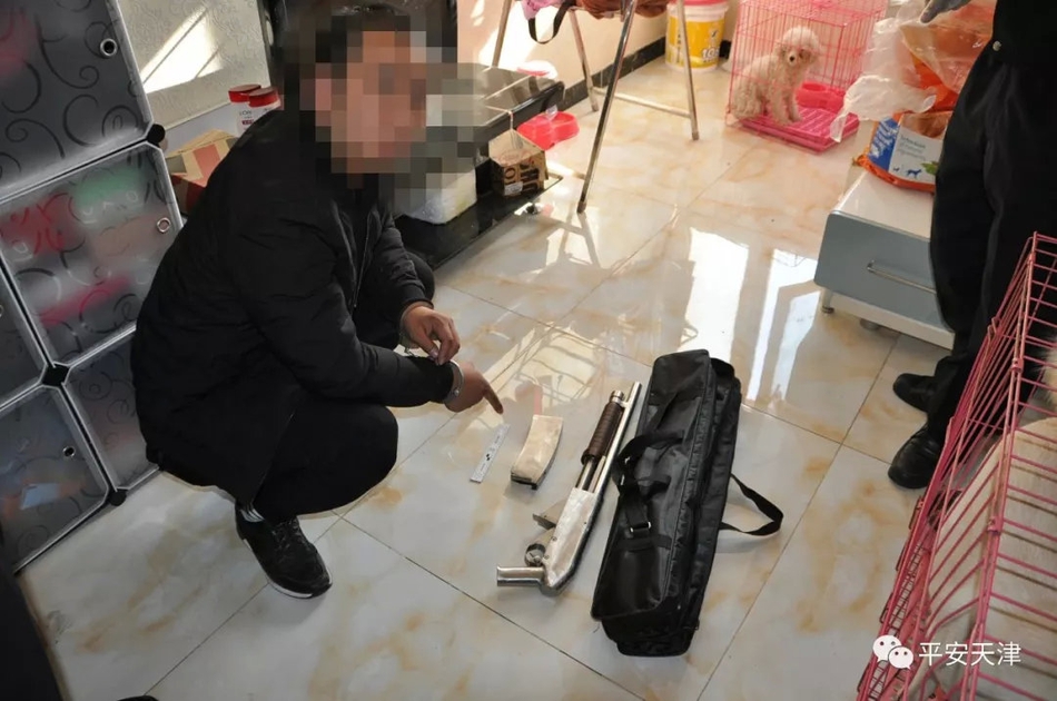 逐金枝(古言1v1)