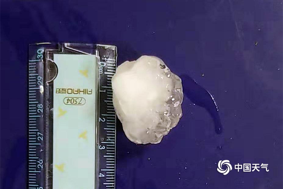 被俘虜?shù)拿廊藗僢y月光如水小說免費閱讀